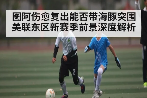 图阿伤愈复出能否带海豚突围美联东区新赛季前景深度解析